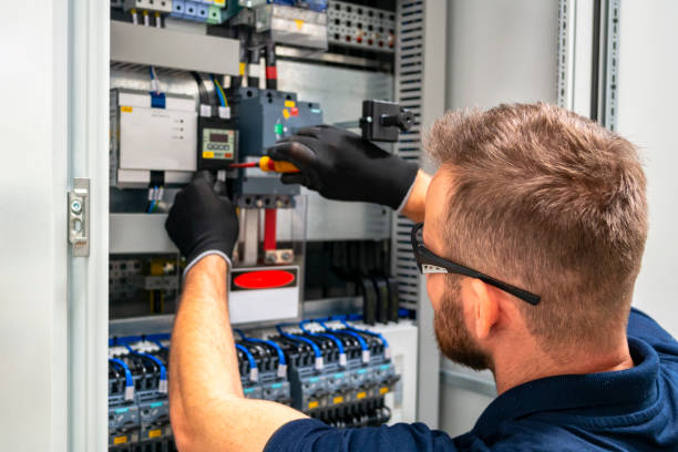 Best Electrical System Inspection  in Berrien Springs, MI