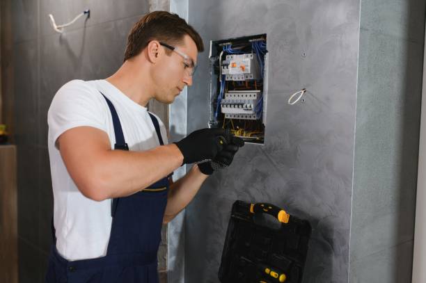 Best Residential Electrician Services  in Berrien Springs, MI