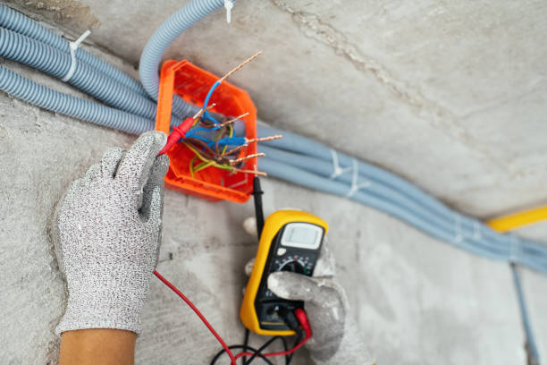 Best Electrician for Home Renovation  in Berrien Springs, MI