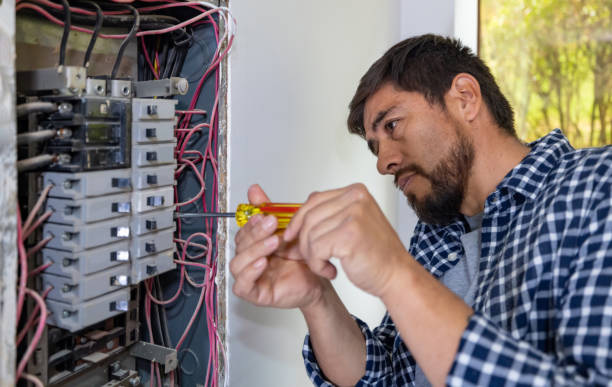 Best Best Electricians Near Me  in Berrien Springs, MI